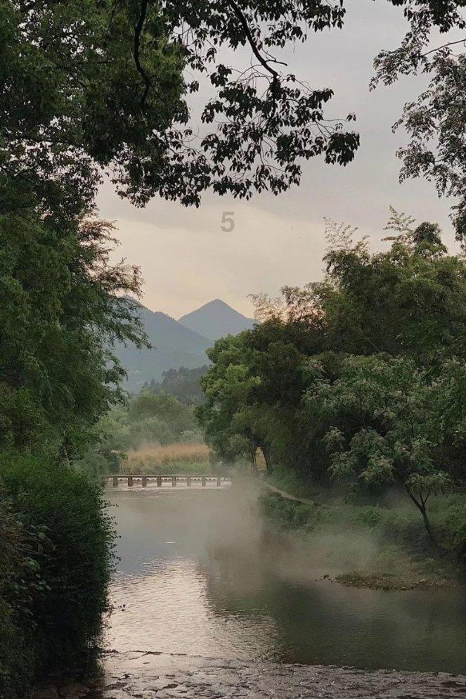 逃出小象森林